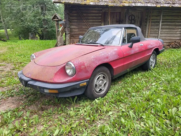 Paties šarms un stils. Labs pamats, skaistam mākslas darbam. Auto rūc un bra