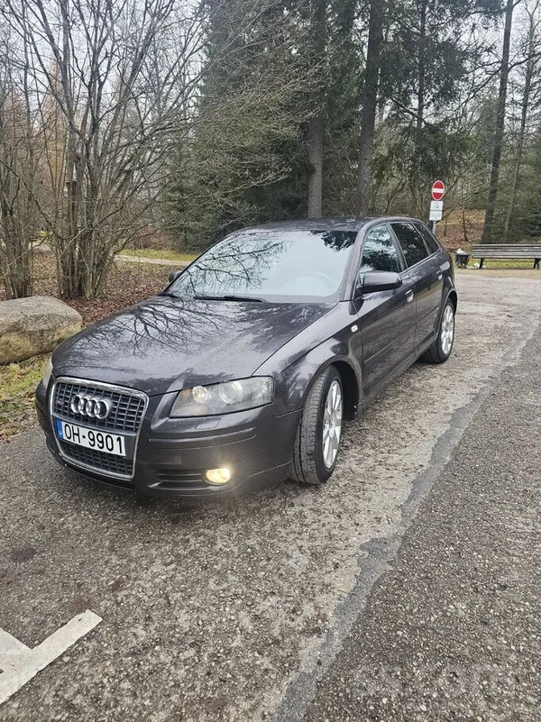 Audi Cena runājama. Sīkāk zvanot.
