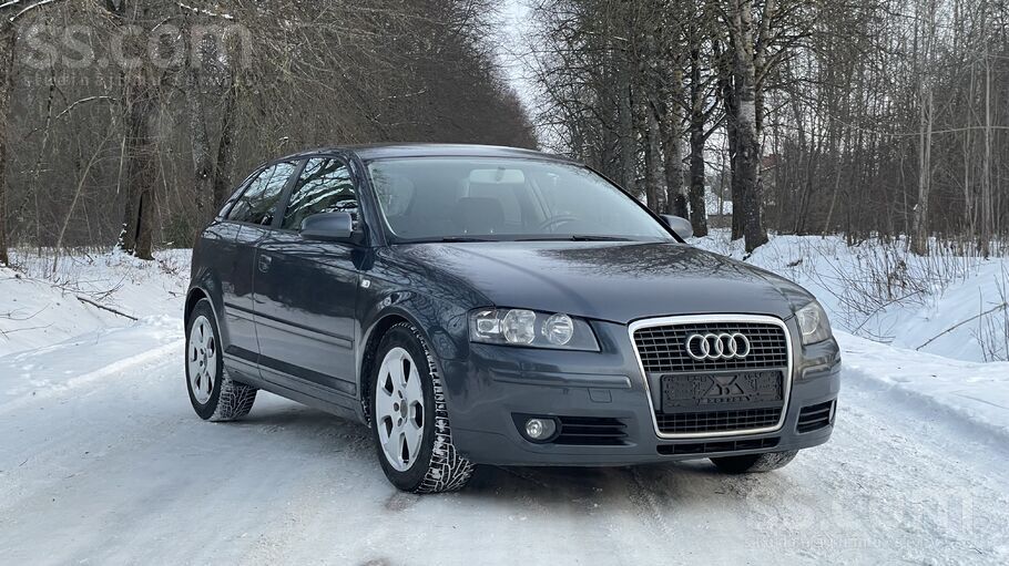 Audi Tikko no Nīderlandes.