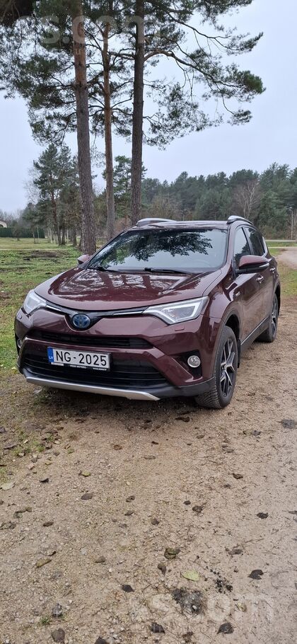 Toyota Rav4 2.5 Hybrid, 2016.(114Kw)

Хорошее состояние. 
Обслуживалась у