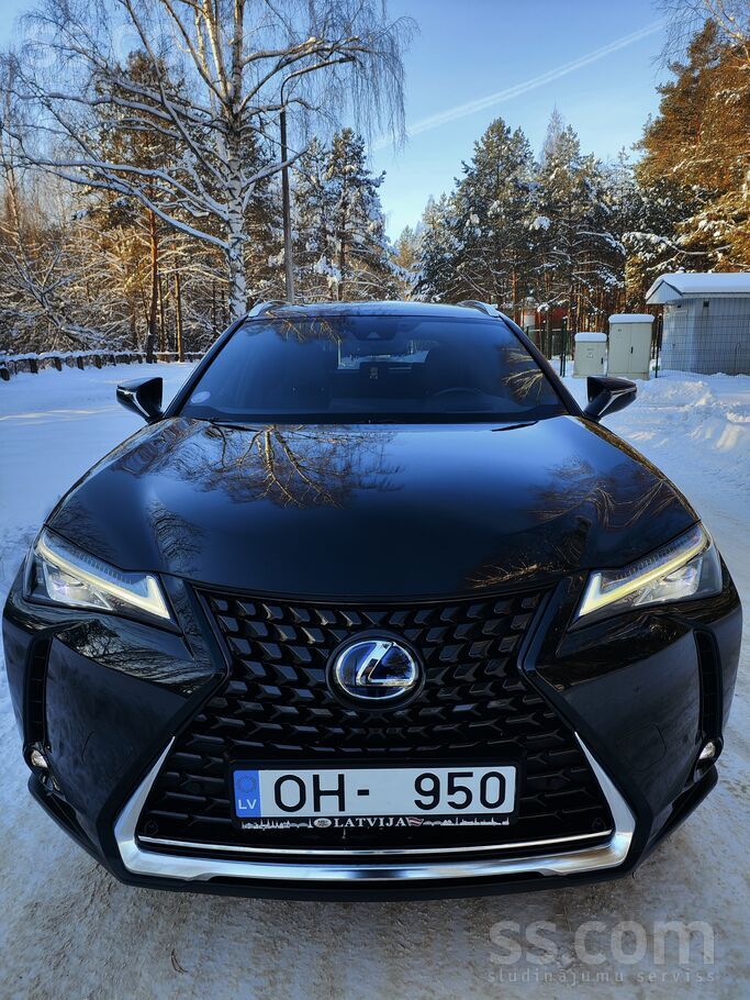 Lexus Lexus UX 250H. 