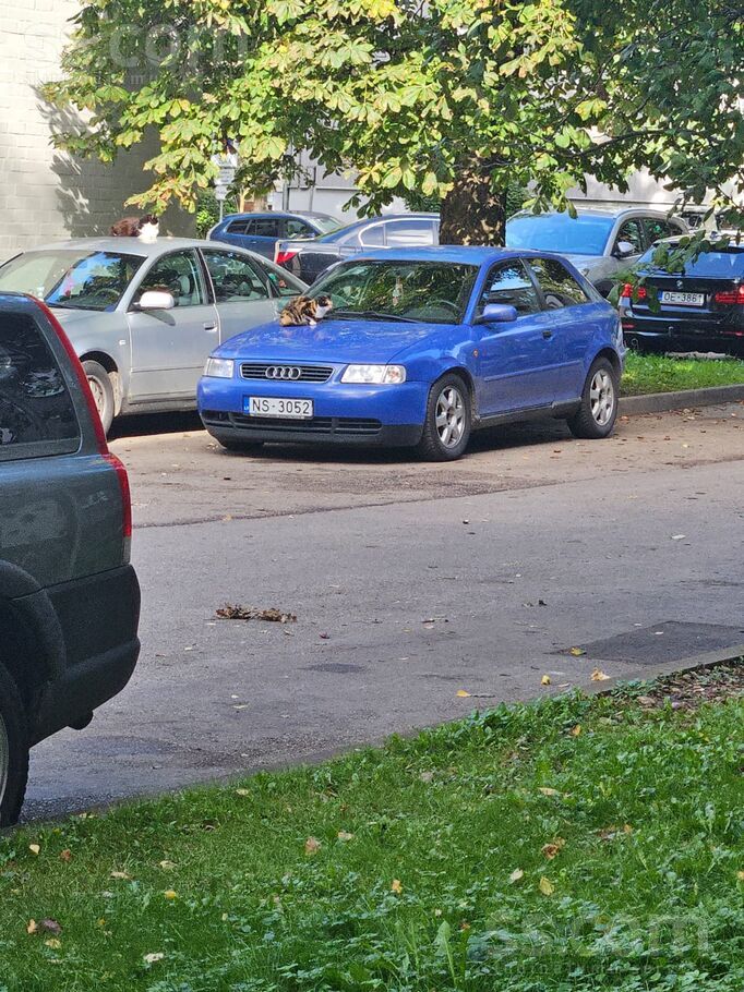 Audi Spararata defekts – pie maziem apgriezieniem Grab.