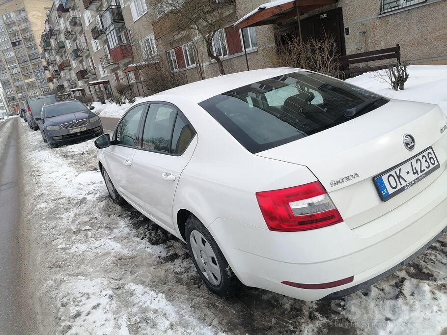 Skoda Авто в хорошем состоянии. На капоте и бампере имею