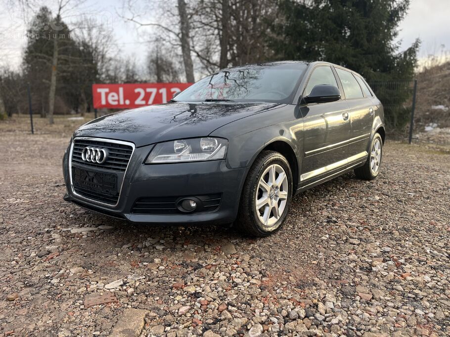 Audi Tikko ievesta
