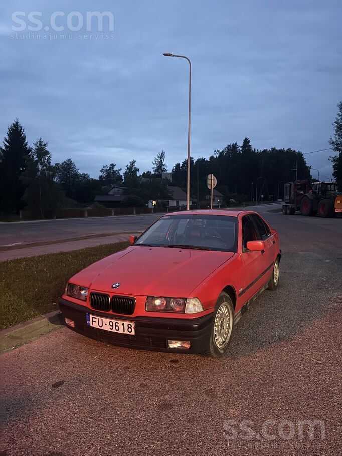 Žurka kā jau žurka vizuāli ir daudz vietas, kur var pielikt roku, taču grīda