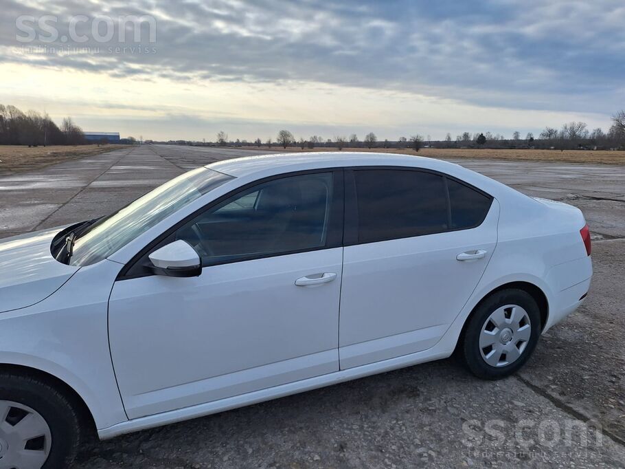 Dinamika, uzticamība, praktiskums, ekonomija, izskats. Tikai apkope.