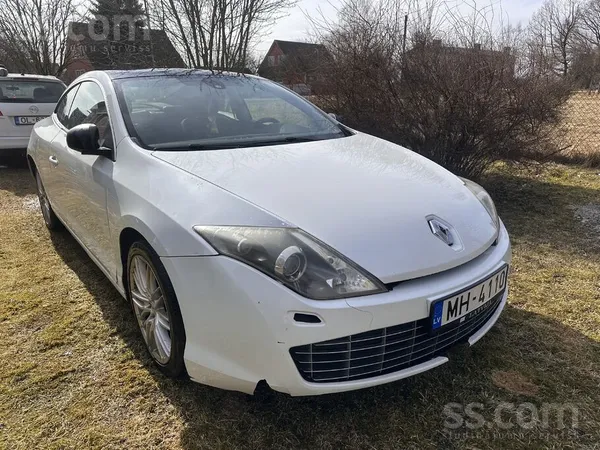 Ar sirdi plosošu sāpi pārdodu savu iemīļoto balto pērli Reni. Šī ir reta Ren