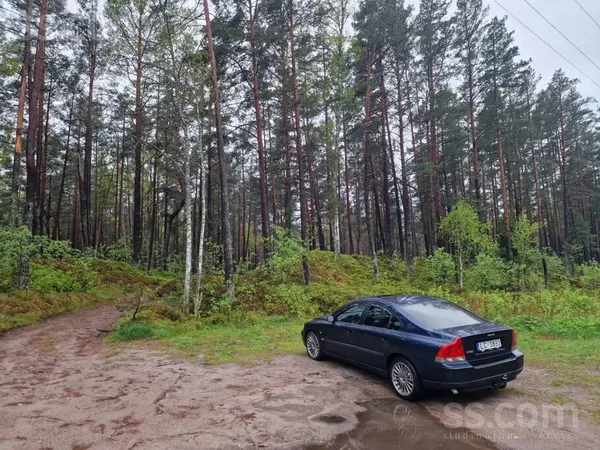 Volvo Pārdodu skaistu zviedru zirgu. Daudziem patīk. 