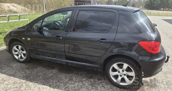 Peugeot 307 Rugby World Cup Edition. 
Auto labā tehniskā stavoklī, ir nelie