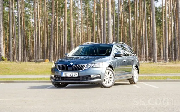 Škoda Octavia 1.6l dīzelis. 85kw
Tehniskā apskate derīga līdz 03.2027
Vid.