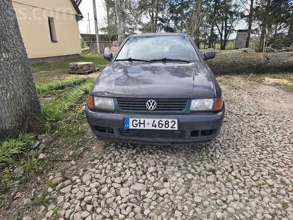 Tirgojas saguris bet dzīvs Polo Variant.