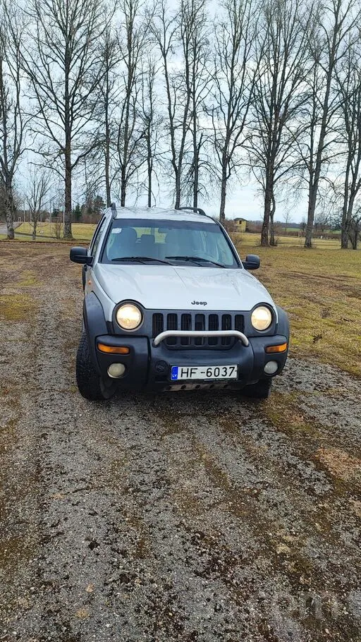 Pārdodu braucamu, uzticamu auto. Ikdienā lietots, lec un brauc bez problēmām