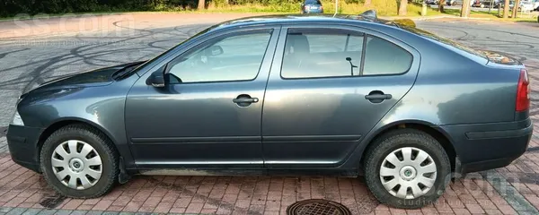 Skoda Ir kalpojis uzticami, apkopes veiktas savlaicīgi. 