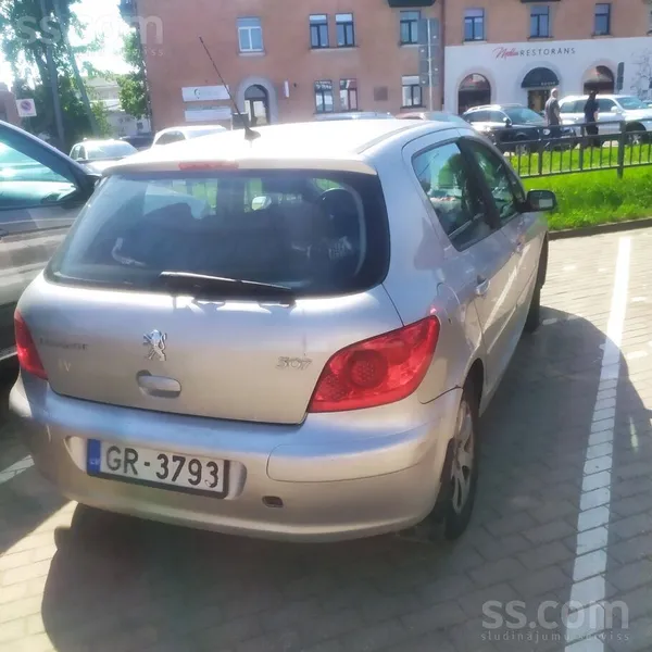 Peugeot Peugeot 307 1.6 gasoline