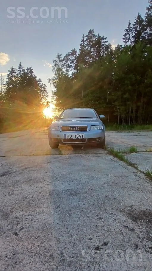 Audi Dzivs audi ir virpusēja rūsa caurumu nav, uz donkr