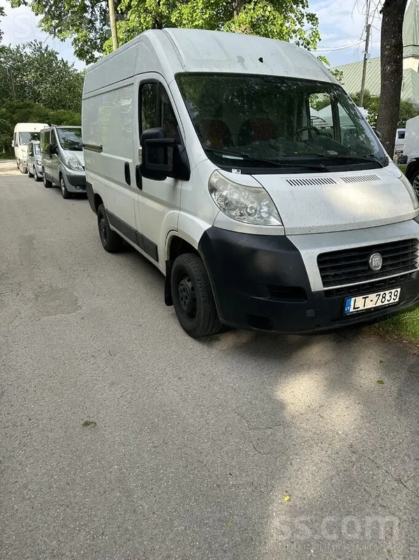 Pardodu labu busu bez rusam eklodija vieta jauna ta vinete nav vajdziba ar o