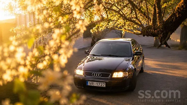 Audi Pārdodu Audi A3 1.9 Tdi 81 kw. Labā tehniskā un vi
