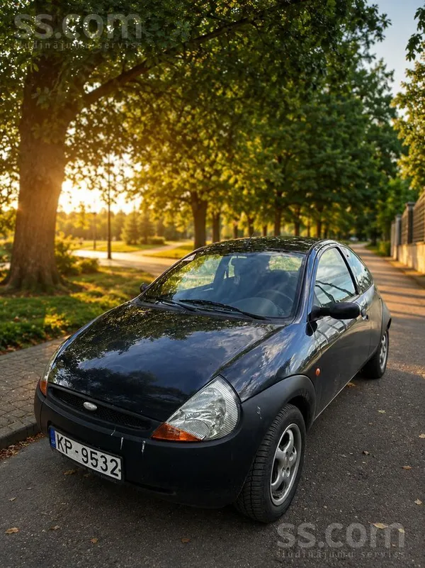 Ford Торг у капота