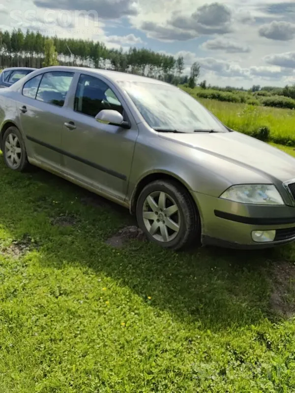 Skoda Pardodu savu Skoda Octavia 2008 gada. Lidzi dodu z