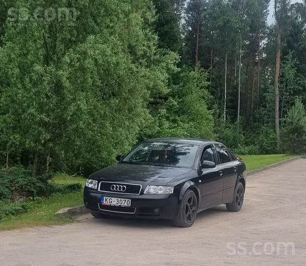 Audi Cena nav akmenī kalta. 