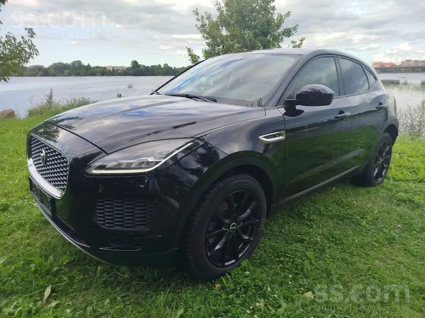 Jaguar Tikko no Italijas. 2019 gads.
