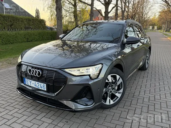 Audi Audi E-Tron S-Line 50 313 z/s 230 kw Quattro Matri