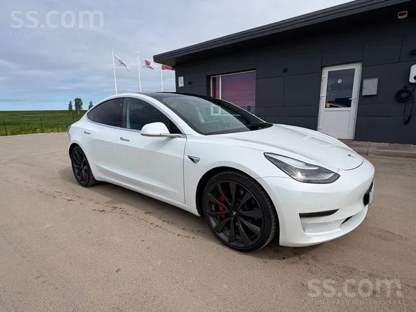 Tesla Tesla Model 3 Performance Awd 2020
