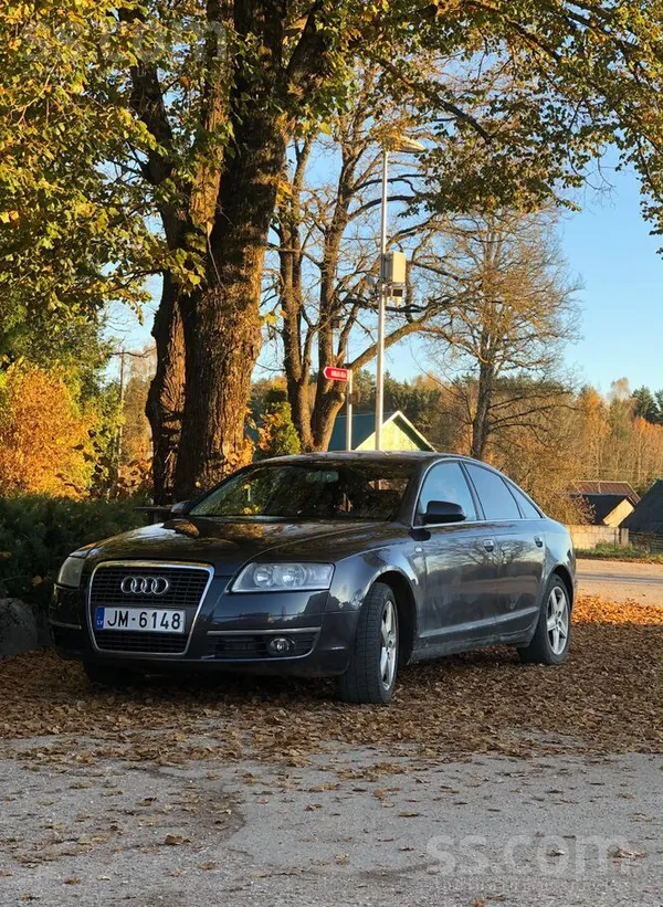 Audi Красивый и перспективный Джим ищет любящего хозяин