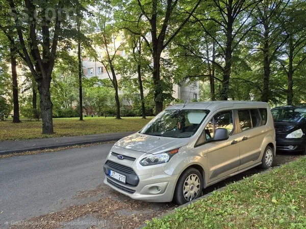Ford Tourneo - 1